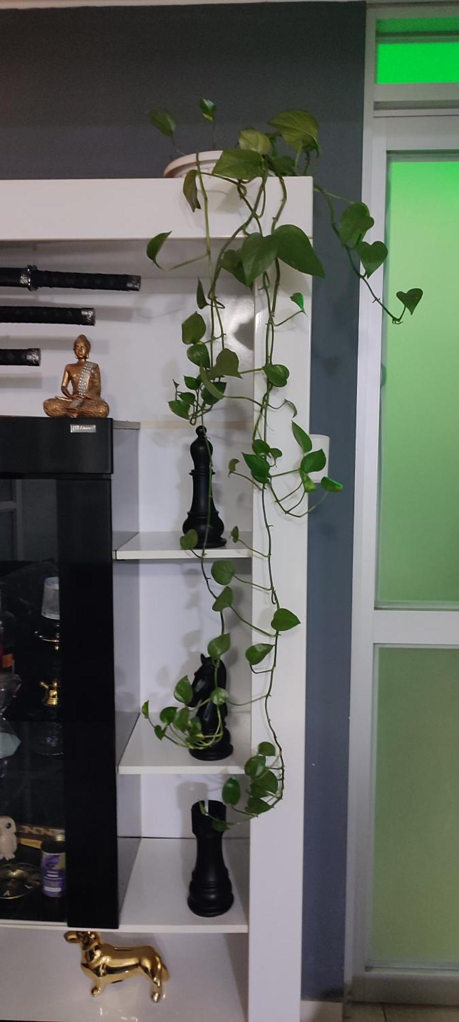 Sumaq Airport Apartment Lima Ngoại thất bức ảnh